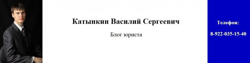 ИП Катынкин Василий Сергеевич